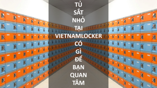 Tu-sat-nho-tai-Vietnamlocker-co-gi-dang-de-quan-tam